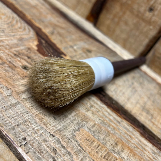 Detailing Brush - Medium Firmness